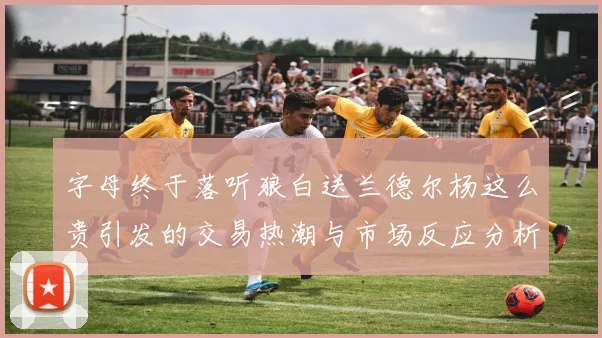 字母终于落听狼白送兰德尔杨这么贵引发的交易热潮与市场反应分析