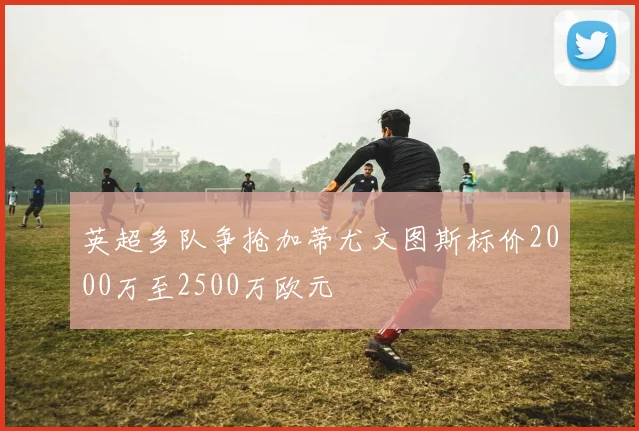 英超多队争抢加蒂尤文图斯标价2000万至2500万欧元