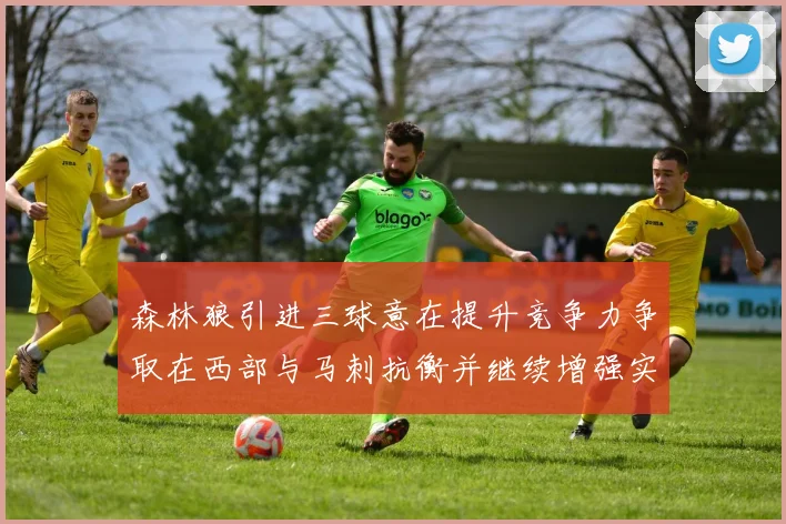 森林狼引进三球意在提升竞争力争取在西部与马刺抗衡并继续增强实力