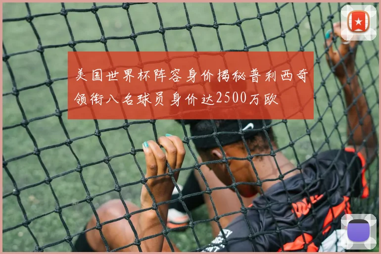 美国世界杯阵容身价揭秘普利西奇领衔八名球员身价达2500万欧