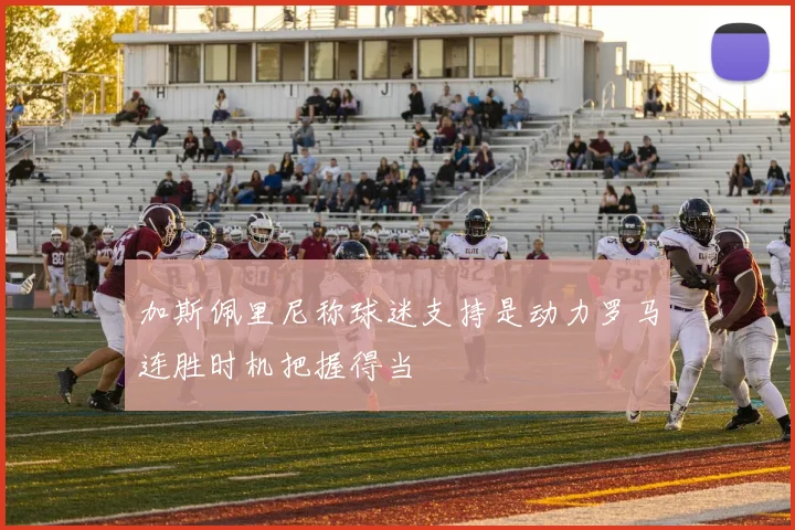 加斯佩里尼称球迷支持是动力罗马连胜时机把握得当
